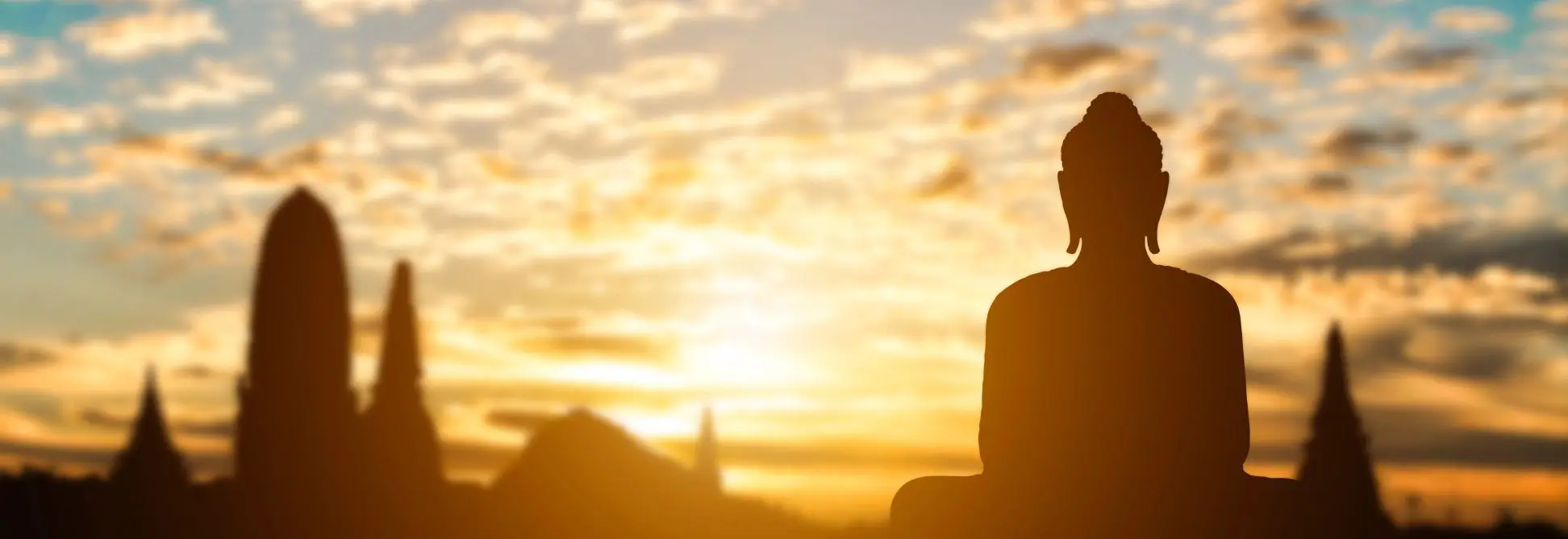 Worship buddha